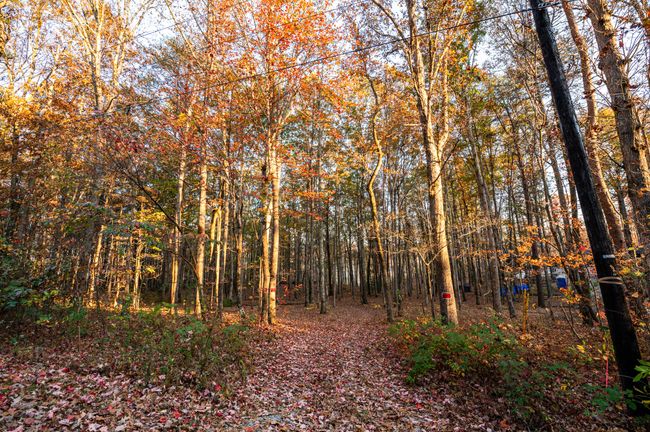 2272 Little Bend Rd, Home with 0 bedrooms, 0 bathrooms and null parking in Signal Mountain TN | Image 6