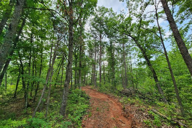 TRACT-3 - 0 Back Run Rd, Home with 0 bedrooms, 0 bathrooms and null parking in Philo OH | Image 8