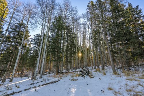 64 Mertz Pl, Angel Fire, NM, 87710-8075 | Card Image