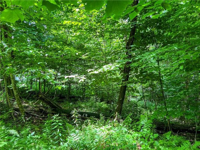 22+ Acres | Image 19