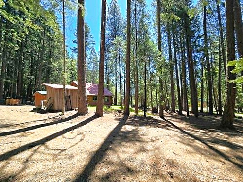 836 Ulrich Rd, Prospect, OR, 97536-9708 | Card Image