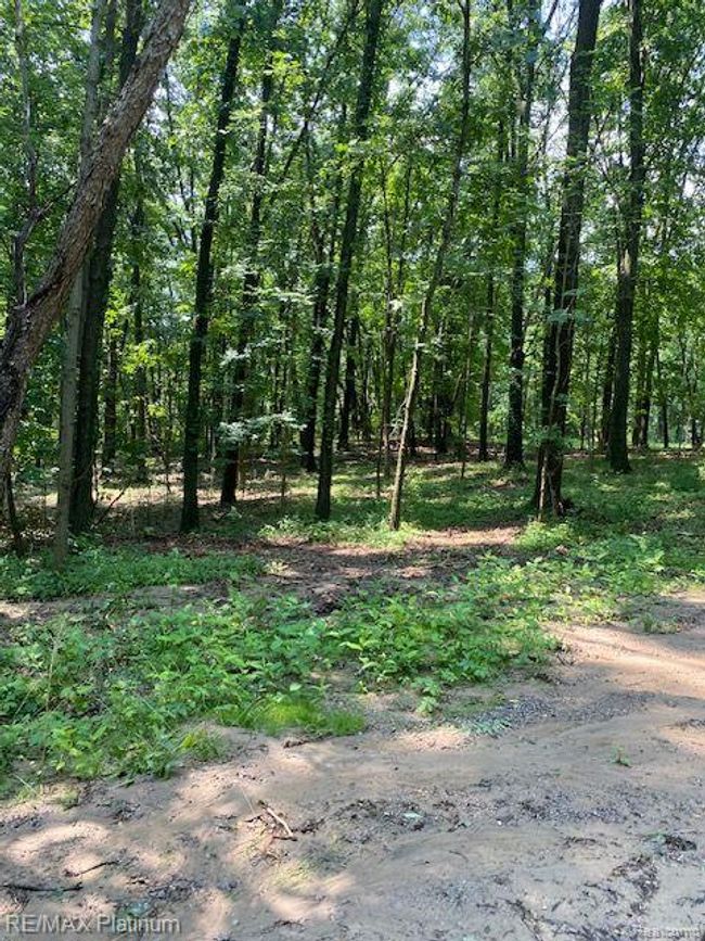 6 Sleaford Parcel 6   2.1 Acres Road, Home with 0 bedrooms, 0 bathrooms and null parking in Howell Township MI | Image 35