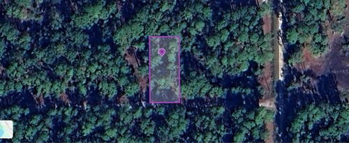 136 Hazel Ave, Georgetown, FL, 32139-2920 | Card Image