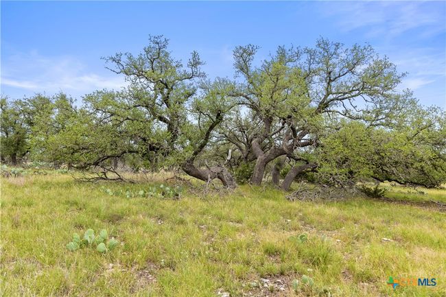 3049 Reservation Rd, Home with 0 bedrooms, 0 bathrooms and null parking in Harper TX | Image 25