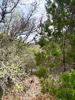 Land in Leander 3