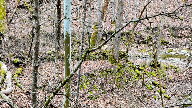 5900 S County Road 700 E, Home with 0 bedrooms, 0 bathrooms and null parking in Dillsboro IN | Image 49