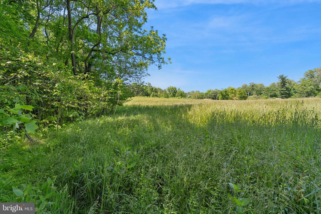 Land in PRINCE FREDERICK 2
