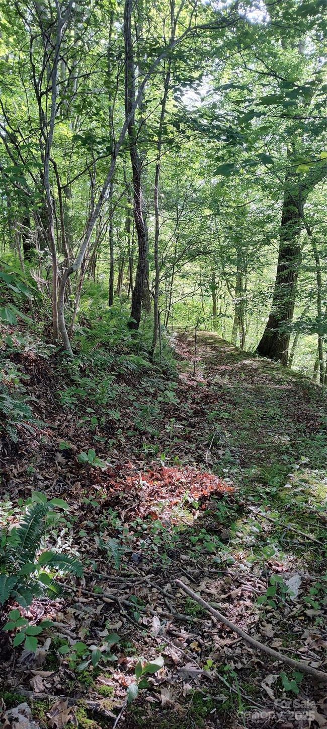 trail to upper property | Image 35