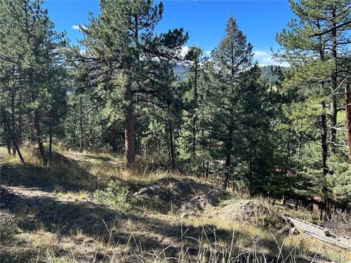 0 S Pine Rd, Evergreen, CO, 80439 | Card Image