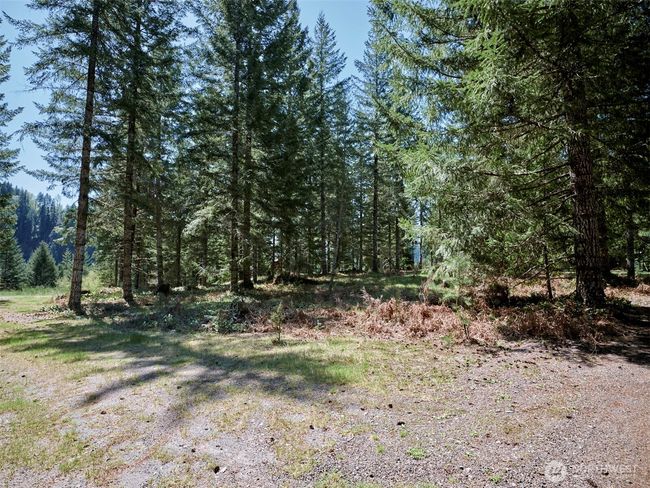 Cleared area | Image 7