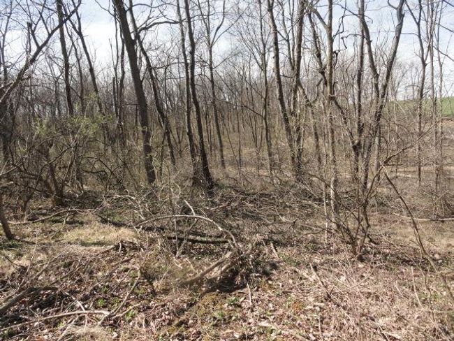 10.45 Acres Ringhand Rd, Home with 0 bedrooms, 0 bathrooms and null parking in SYLVESTER WI | Image 32