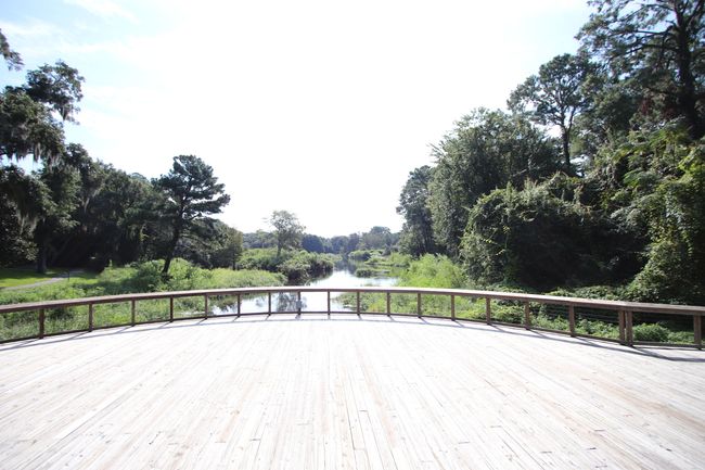 PR Cypress Wetlands | Image 12