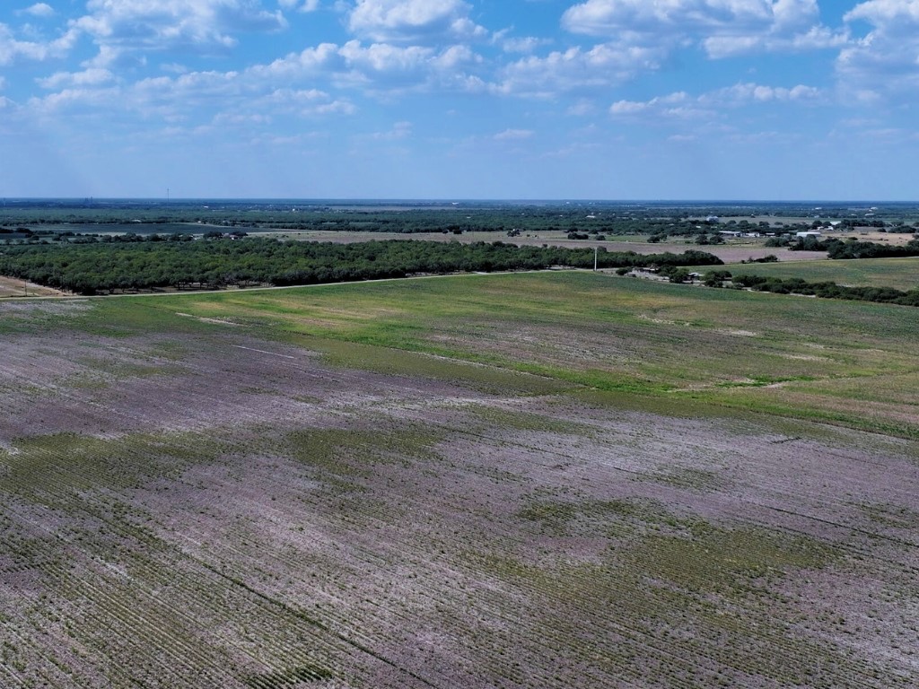 Land in Kingsville 4