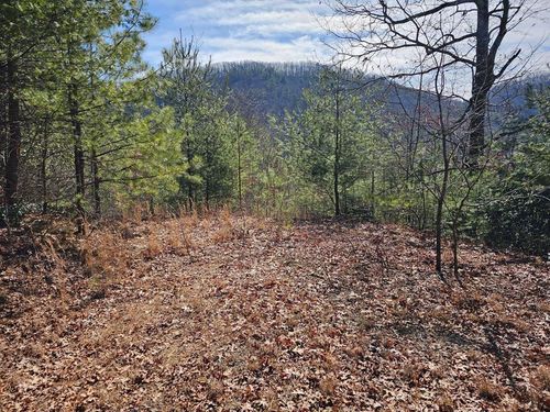51 Kudzu Creek Trl, Murphy, NC, 28906 | Card Image