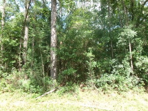 0 Dupont Harts Chapel Rd, Poplarville, MS, 39470 | Card Image
