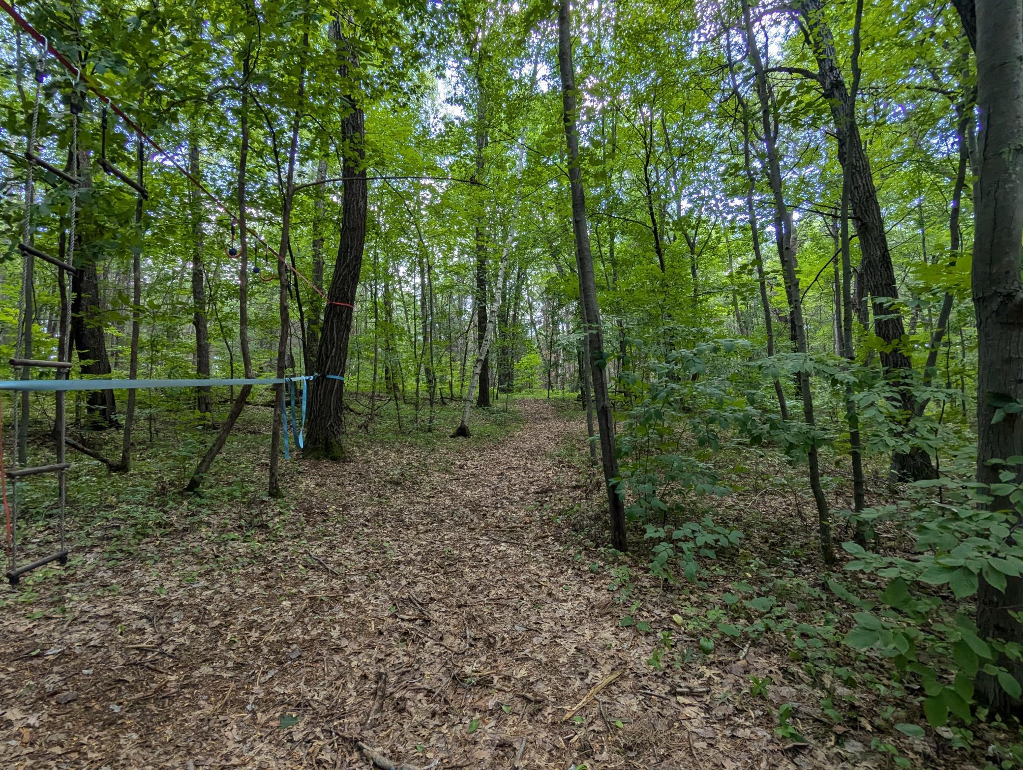 Land in Webster 4