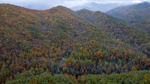 139 Land Iugap Rd, Robbinsville, NC, 28771 | Card Image
