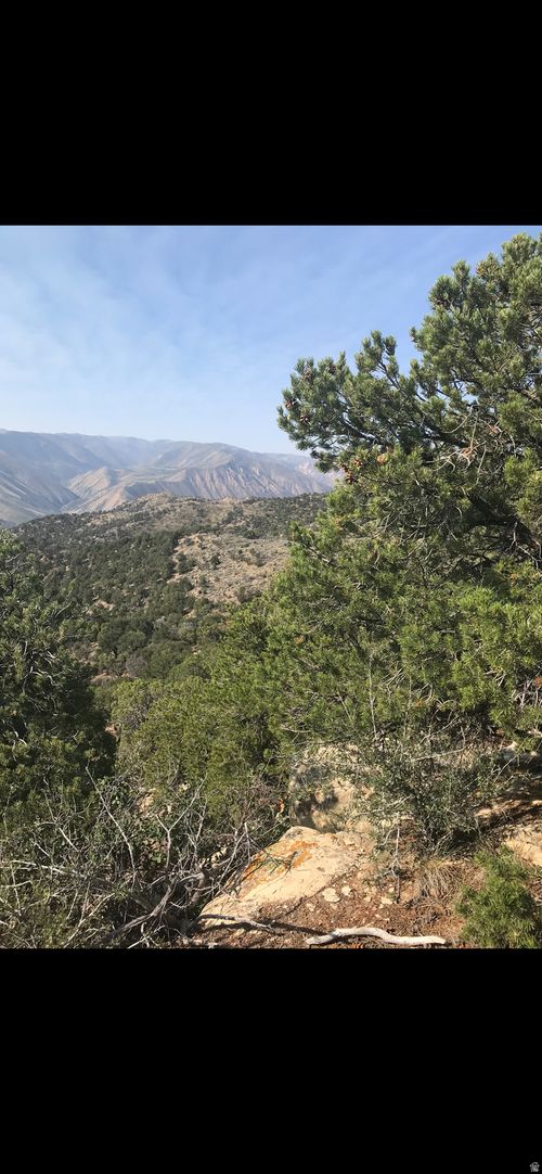 215-9000 S 4500 W, Fruitland, UT, 84027 | Card Image