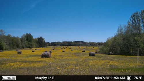 980 Murphy Ln, Whiteville, TN, 38075-8434 | Card Image