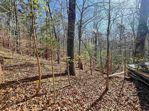 100 Acres Jones Valley, Caddo Gap, AR, 71935 | Card Image