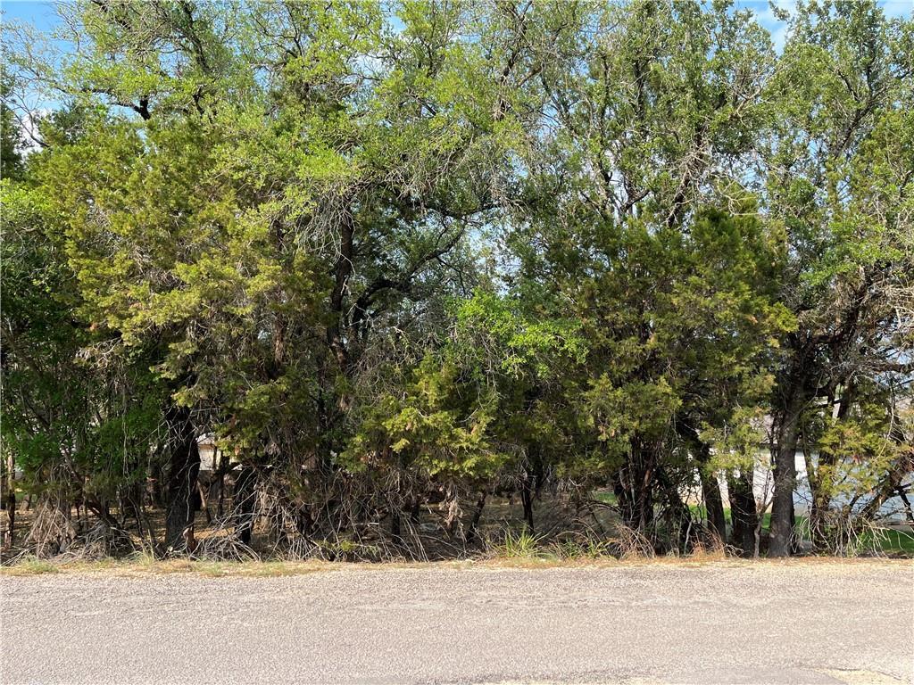 Land in Lago Vista 2