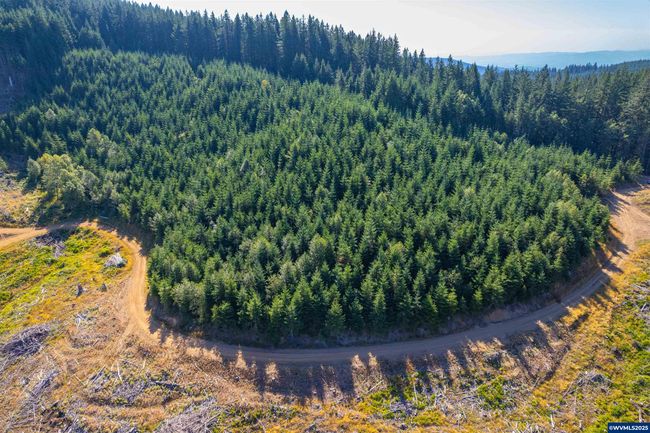 0 Bald Mountain Rd, Home with 0 bedrooms, 0 bathrooms and null parking in Beaver OR | Image 4