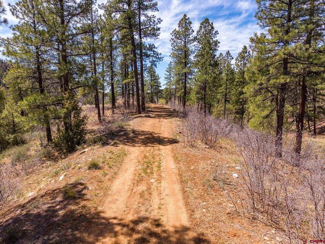 77 Culebra Cir, Home with 0 bedrooms, 0 bathrooms and null parking in Durango CO | Image 26