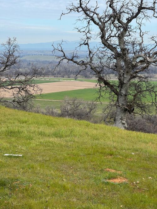 22680 River View Drive, Cottonwood, CA, 96022 | Card Image