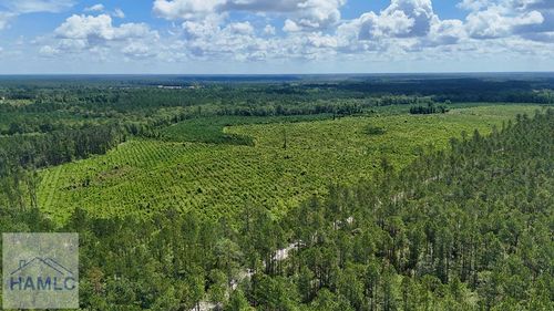 TRACT 2 Bennett Mill Pond Rd, Odum, GA, 31555 | Card Image