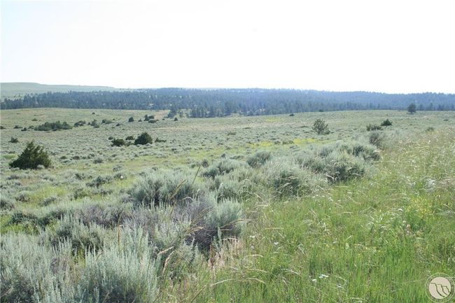 Lot 74 High Pines Blf, Home with 0 bedrooms, 0 bathrooms and null parking in Columbus MT | Image 6