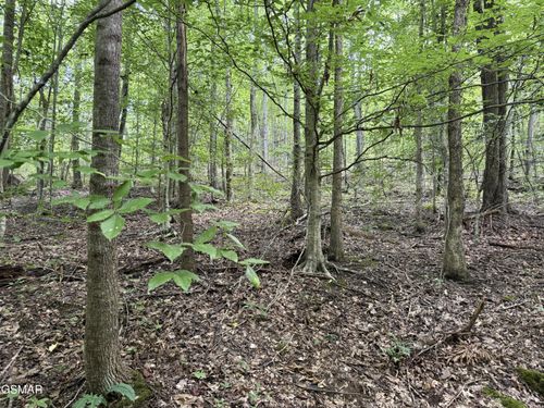 6 Trentham Rd, Newport, TN, 37821 | Card Image