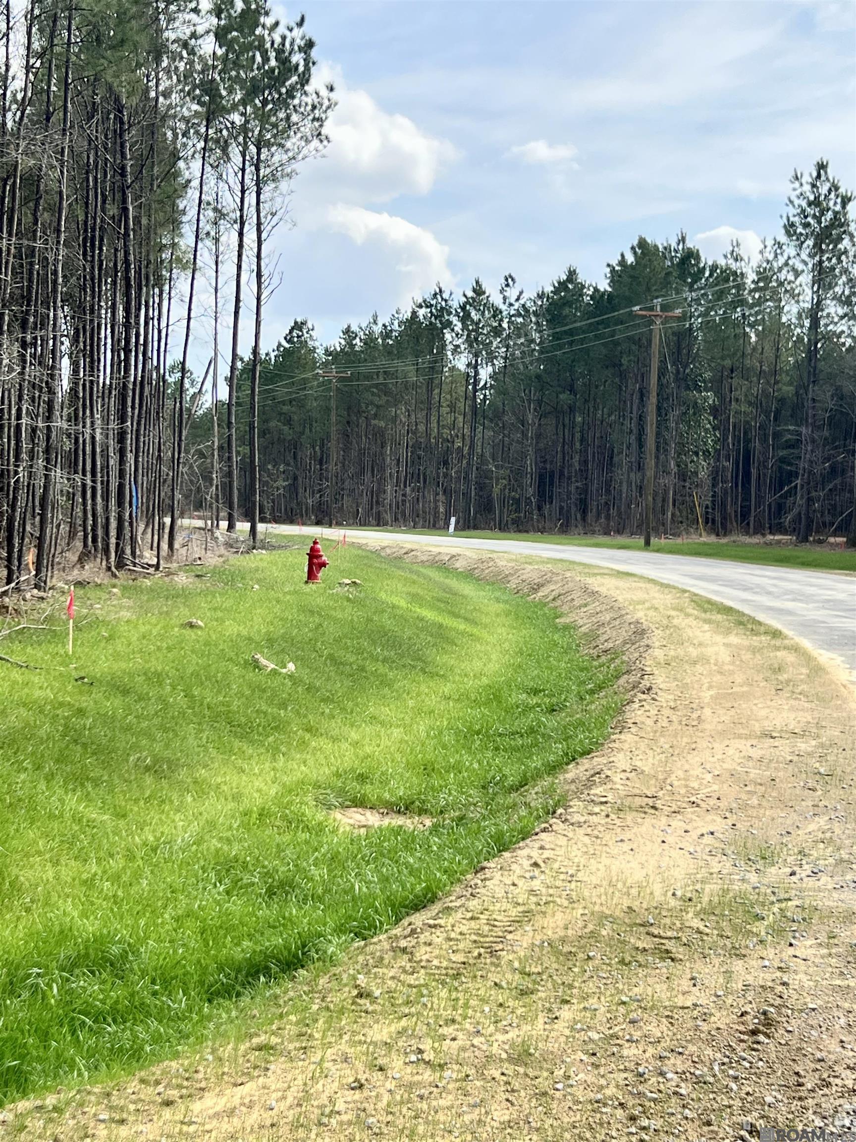 Land in Livingston 4