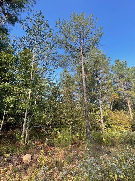 Land in Broken Bow 3