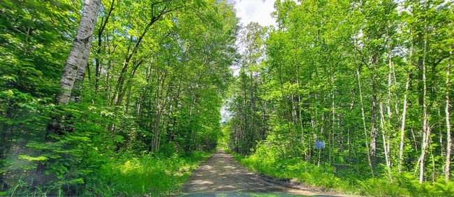 Road leading to shouse | Image 25