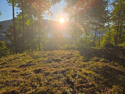 305 Cascade Rd, Danby, VT, 05739 | Card Image