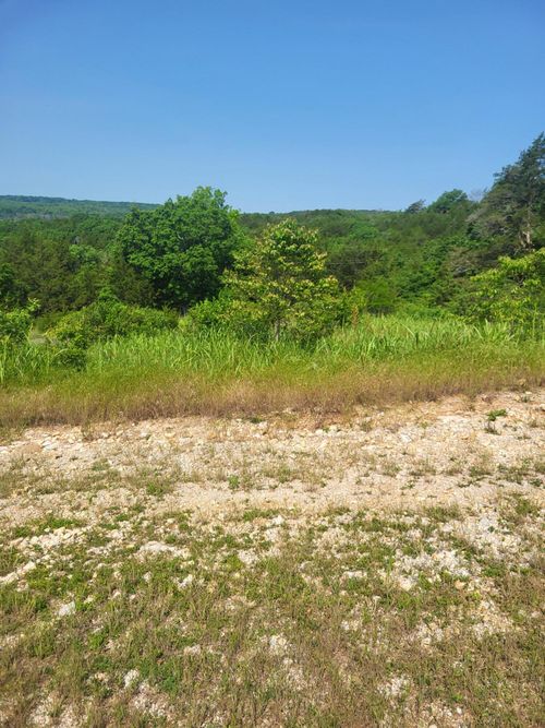 000 Hummingbird Rd, Greenfield, MO, 65661 | Card Image