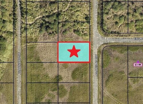 2524 Adonis Avenue Sw, PALM BAY, FL, 32908 | Card Image