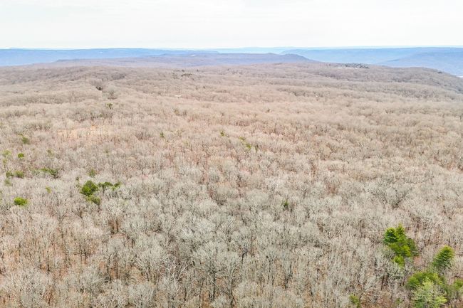 0 Stage Coach Rd, Home with 0 bedrooms, 0 bathrooms and null parking in Sewanee TN | Image 7