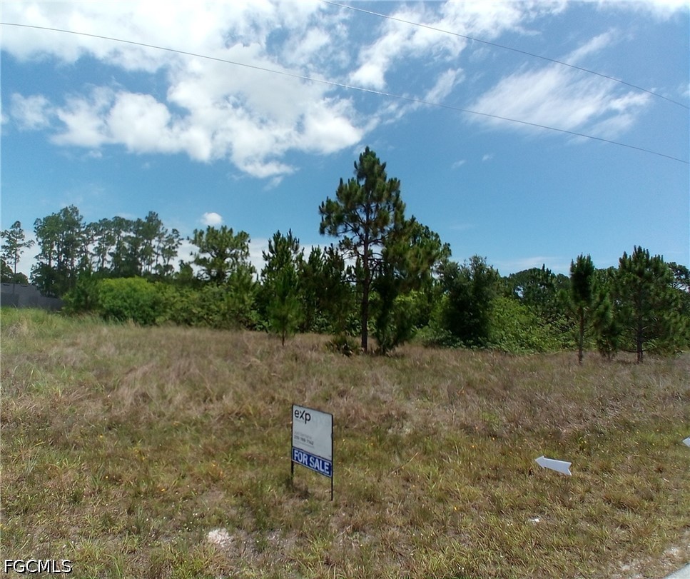 Land in Lehigh Acres 4