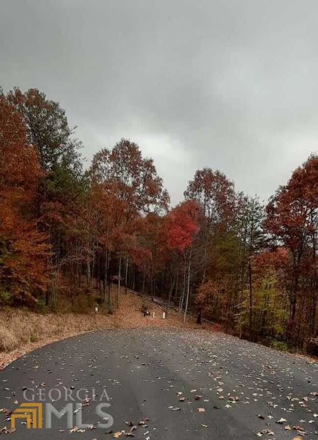 177 - 0 Owen Glenn Dr, Home with 0 bedrooms, 0 bathrooms and null parking in Blairsville GA | Image 10