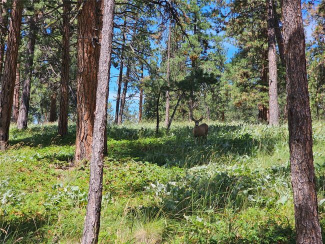44625 Wild Horse Island Ln, House other with 2 bedrooms, 1 bathrooms and null parking in Dayton MT | Image 124