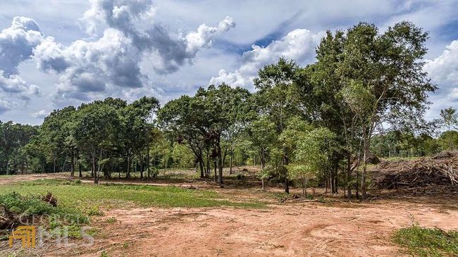 TRACT 2 Coldwater Creek Rd, Home with 0 bedrooms, 0 bathrooms and null parking in Dewy Rose GA | Image 8