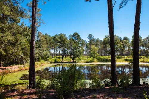 6355 Cobbham Rd, Appling, GA, 30802-2521 | Card Image