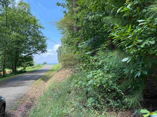 15-lot 15 Davis Pl, Gadsden, AL, 35904-6553 | Card Image