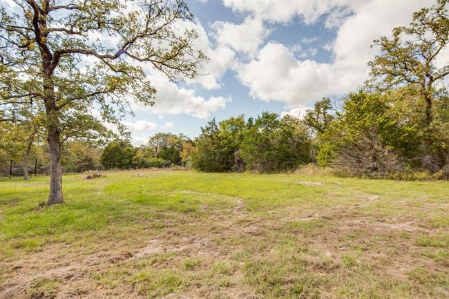 Open area | Image 15