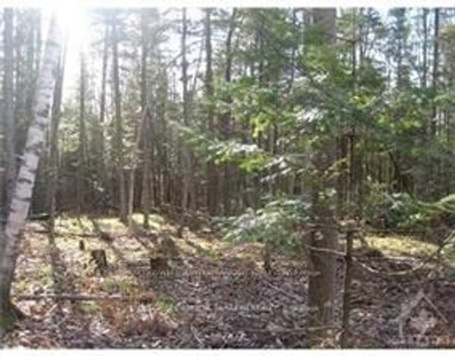 3110 Dunrobin Rd, Home with 0 bedrooms, 0 bathrooms and null parking in Ottawa ON | Image 6