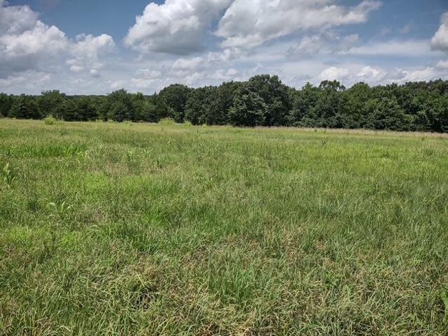 tract9 | Image 6