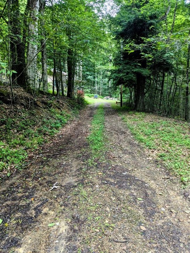 198 Spring Run Rd, Home with 1 bedrooms, 1 bathrooms and null parking in Smethport PA | Image 25