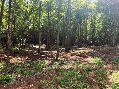 Tract 8 Pleasant Hill Rd, Ten Mile, TN, 37880 | Card Image