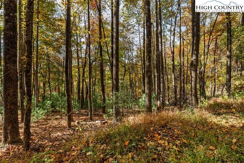 24 Ben Miller Road, Deep Gap, NC, 28618 | Card Image